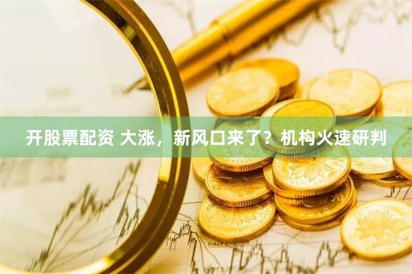 开股票配资 大涨，新风口来了？机构火速研判