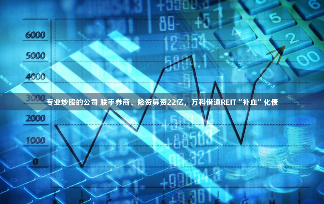 专业炒股的公司 联手券商、险资募资22亿，万科借道REIT“补血”化债