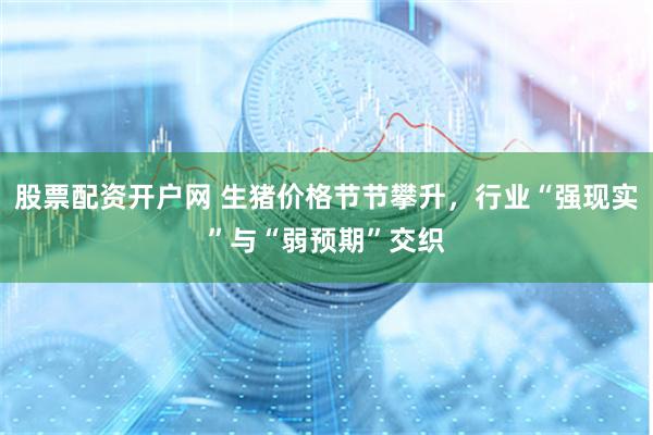 股票配资开户网 生猪价格节节攀升，行业“强现实”与“弱预期”交织