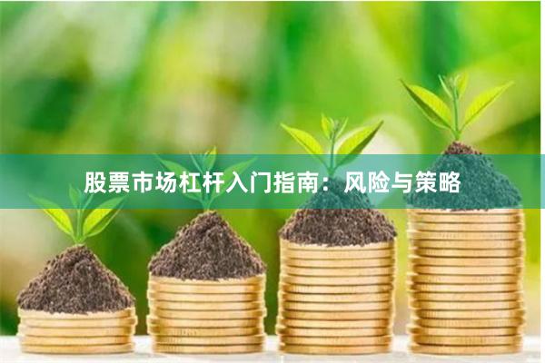 股票市场杠杆入门指南：风险与策略